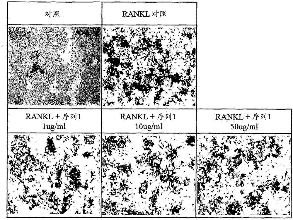 亚洲bet356体育在线官网